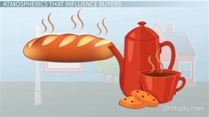 What is atmospherics in consumer behavior?