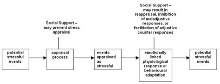 What is buffering hypothesis in social support?