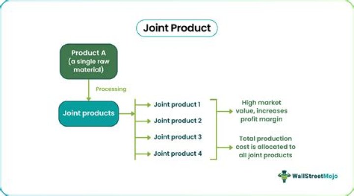 What is co product and joint product?