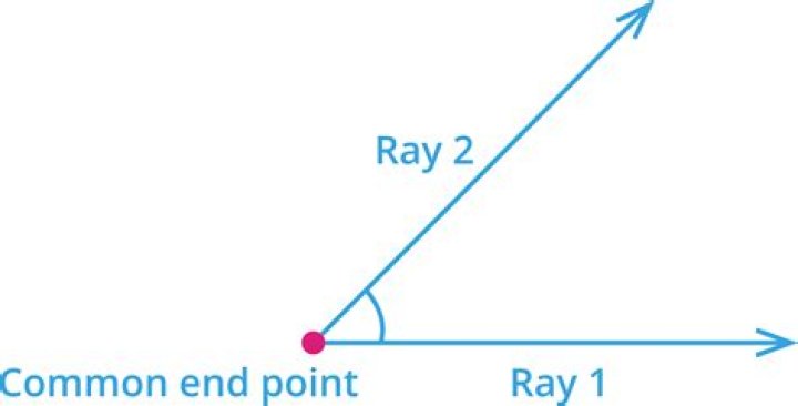 What is formed when 2 rays share a common endpoint?