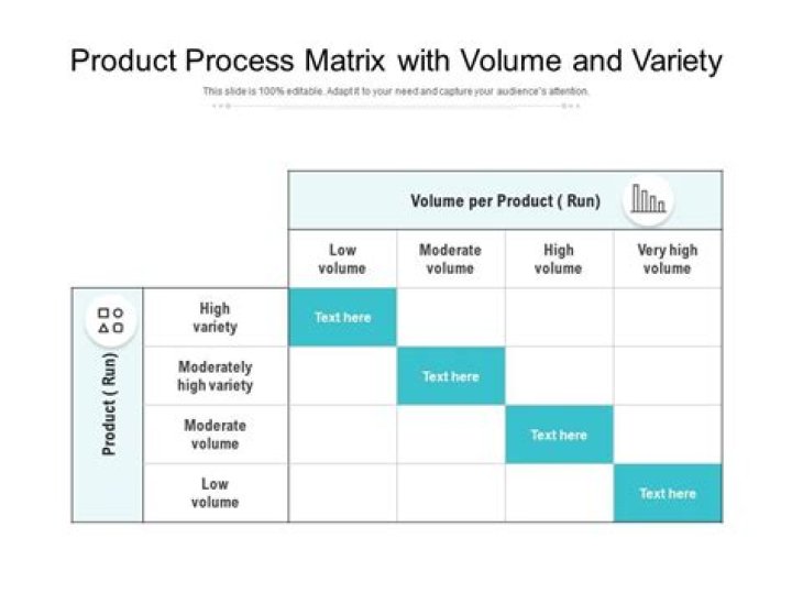 What is high product variety?