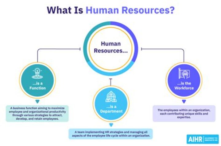 What is human resource and non human resources?
