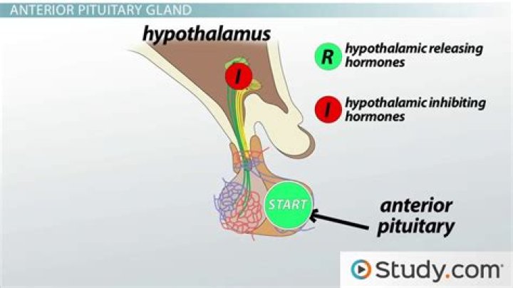 What is Hyperfunction of pituitary gland?