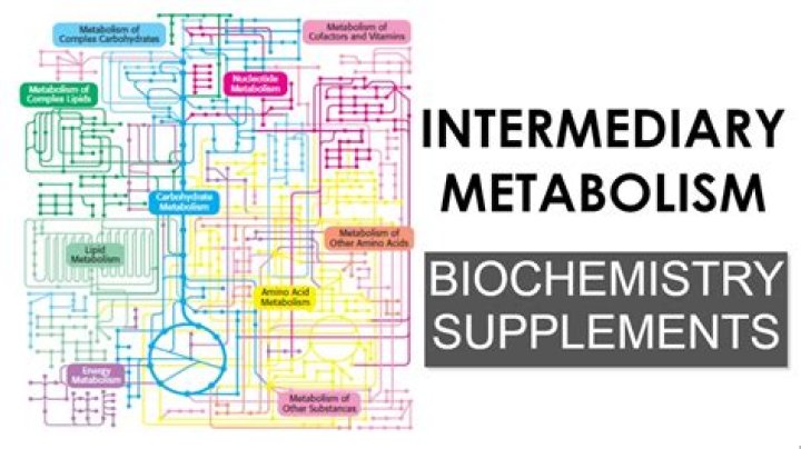 What is intermediary metabolic pathway?