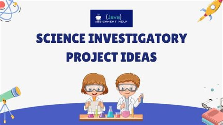 What is investigatory project?