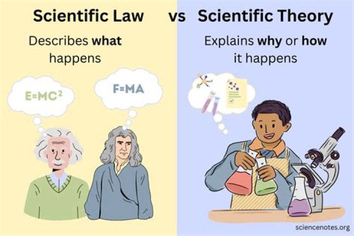 What is love from a scientific point of view?
