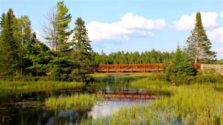 What is Manitowish?