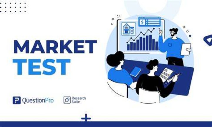 What is mean by market survey?