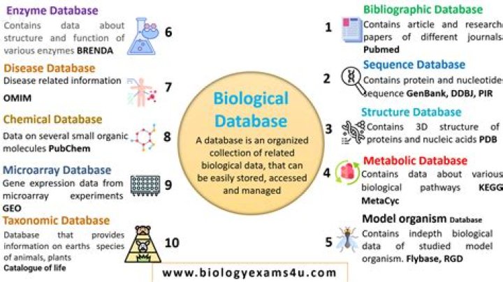 What is meant by biological database?