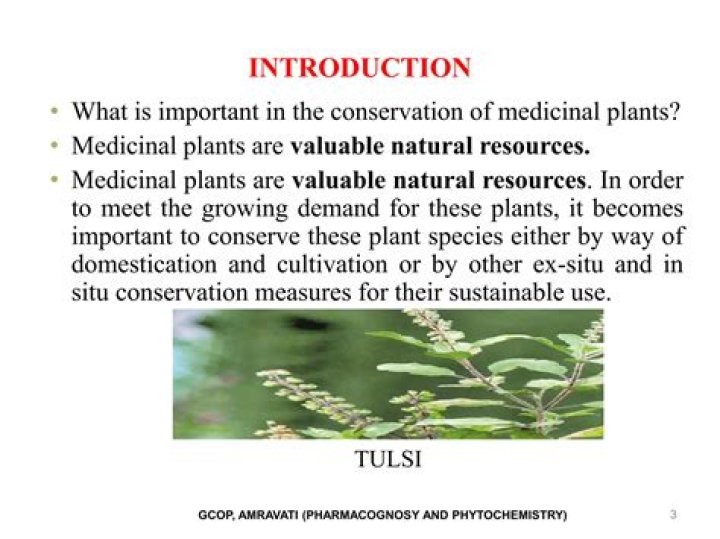 What is medicinal plant conservation?