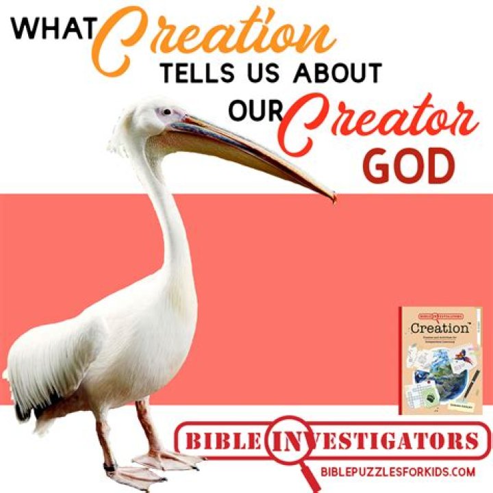 What is need creation?