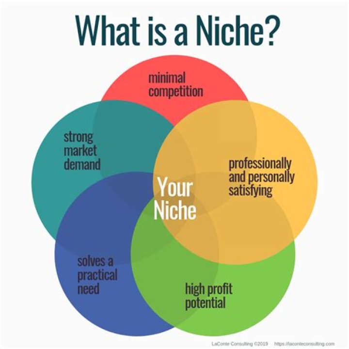 What is niche marketing with example?