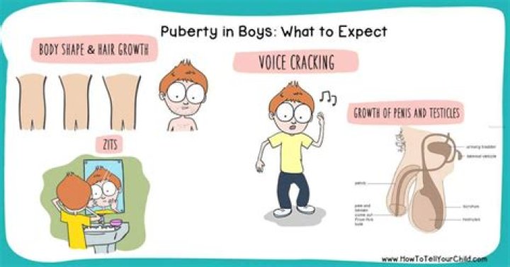 What is puberty for a boy?