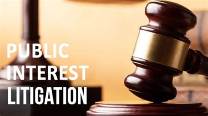 What is public interest litigation in Nigeria?