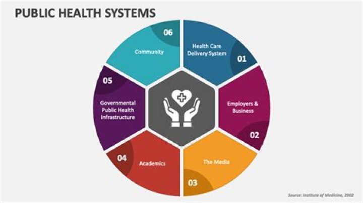 What is Survey in public health?