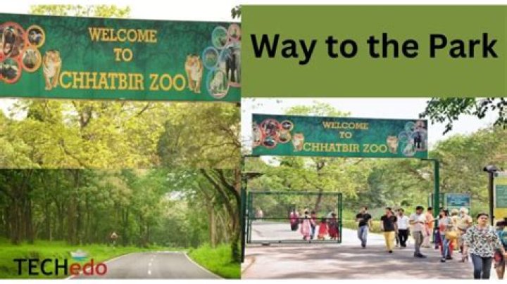 What is the area of Chhatbir zoo?