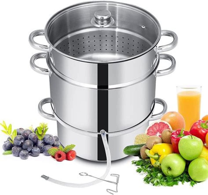 What is the best steamer juicer?