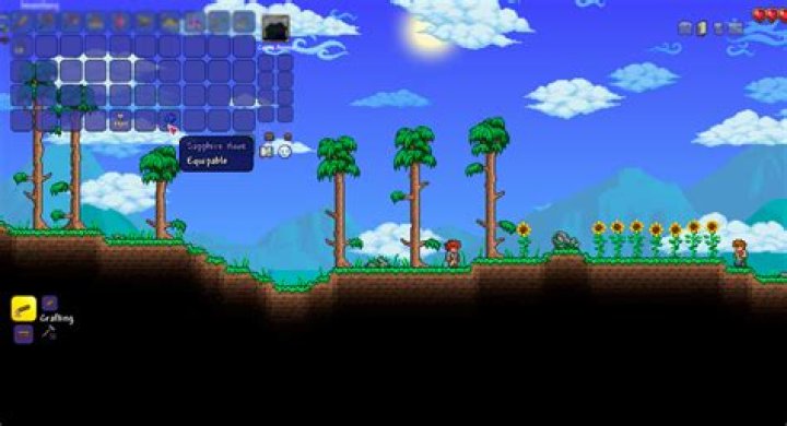 What is the best Terraria hook?