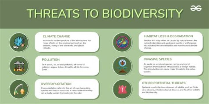 What is the biggest threat to the tundra?