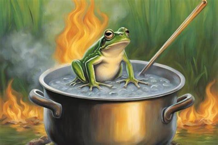 What is the boiling frog concept?