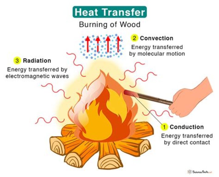 What is the example of transfer?