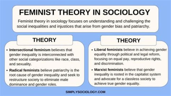What is the feminist theory of law?