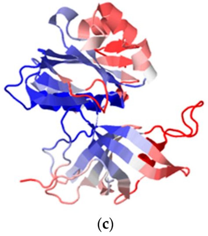 What is the function of cytochrome b5 reductase?