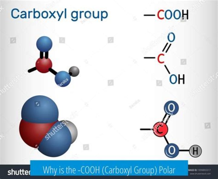 What is the group COOH called?