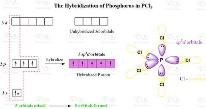 What is the hybridization of the central atom of PCl5?