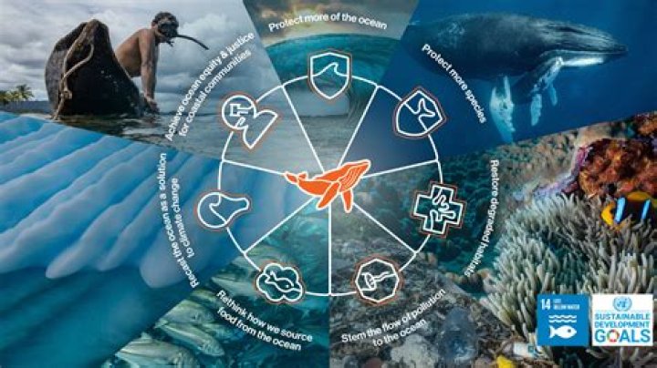 What is the issue with marine conservation?