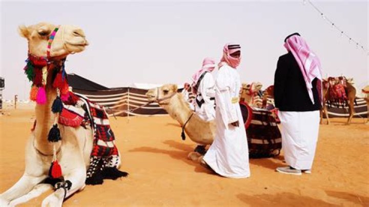 What is the main culture in Saudi Arabia?