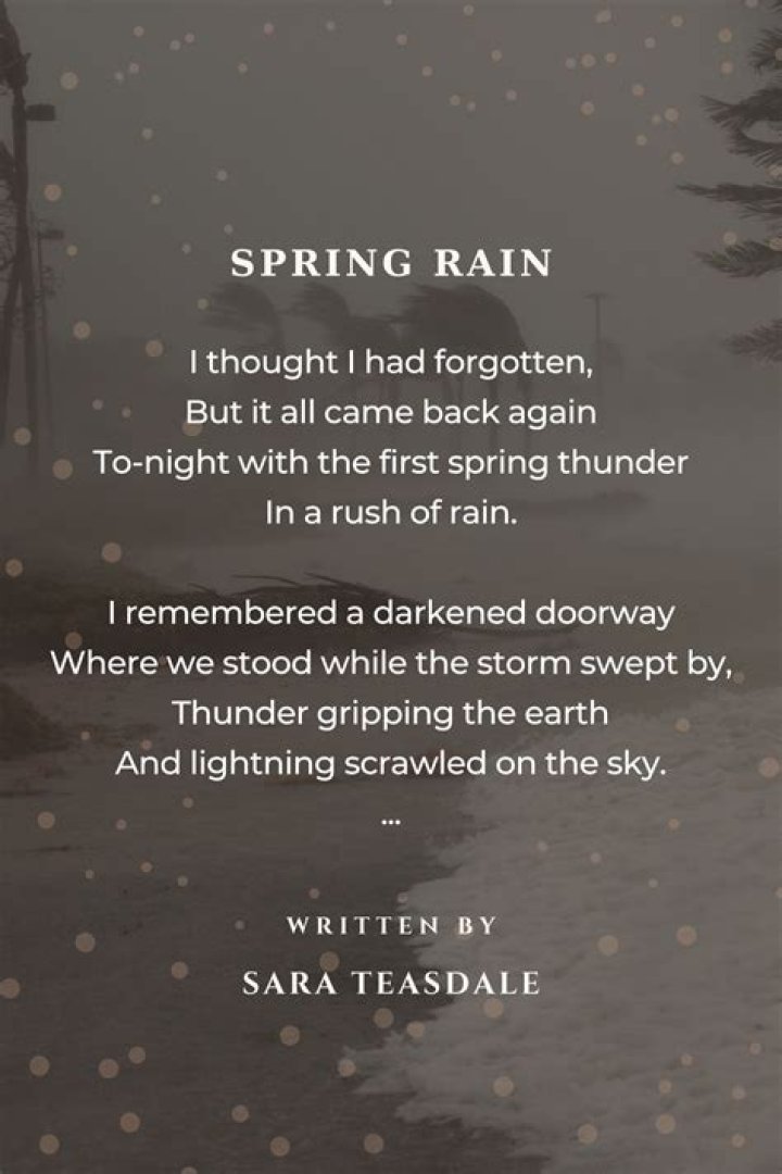 What is the main idea of the poem the rain?