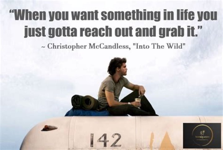 What is the main message of Into the Wild?