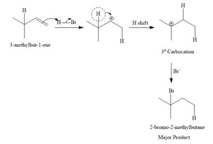 What is the major product of the reaction of HBr with 3 methyl 1-butene?