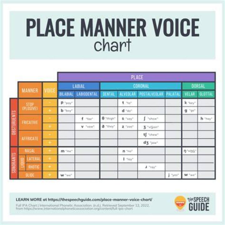 What is the manner of articulation for vowels?