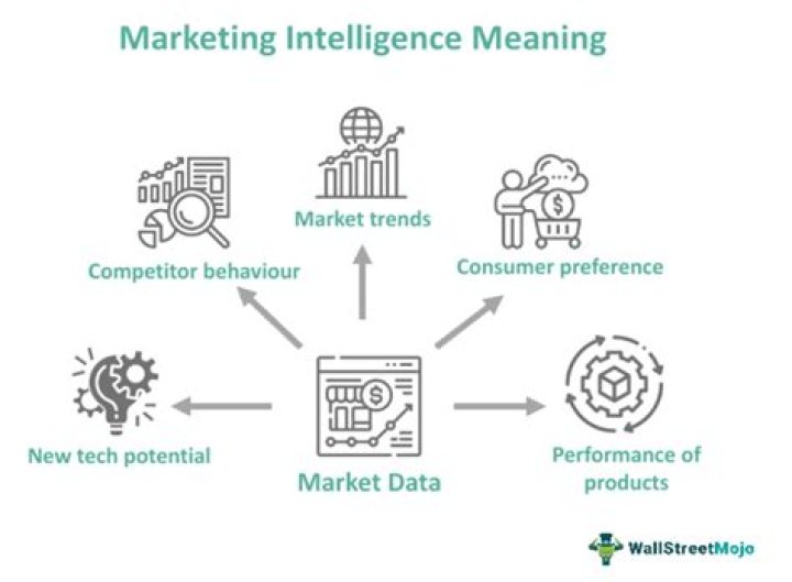 What is the marketing intelligence system?