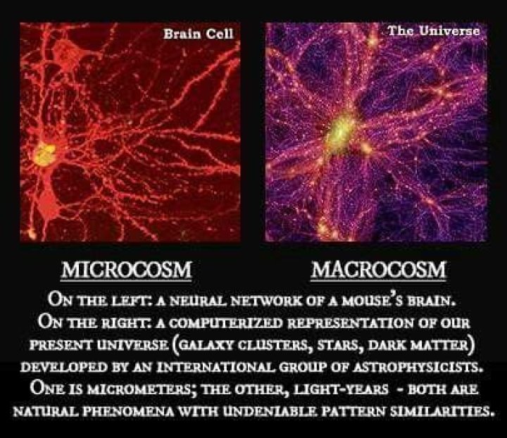 What is the meaning of macrocosm and microcosm?