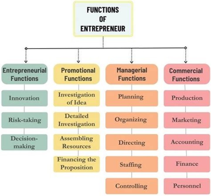 What is the most important function of an entrepreneur?