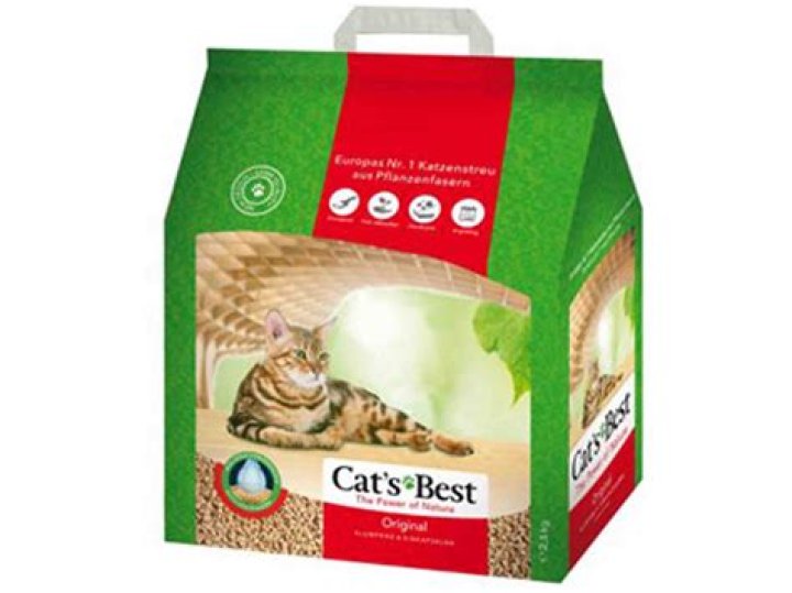 What is the most popular cat litter?