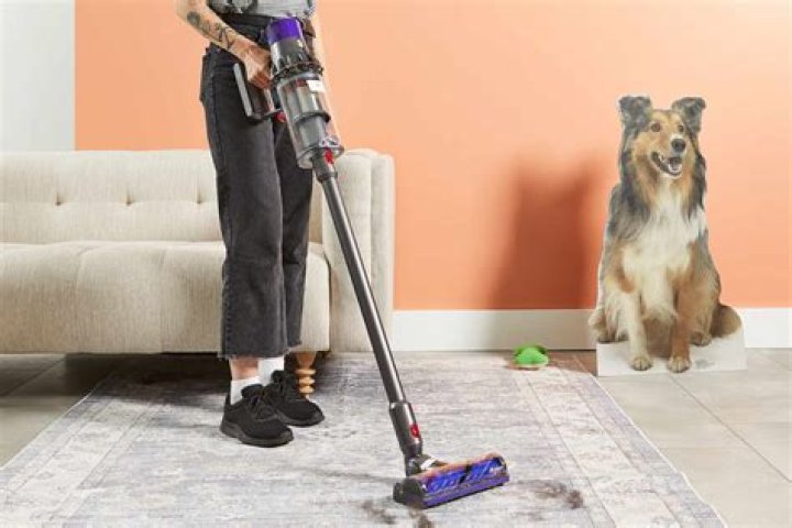 What is the most powerful vacuum for pet hair?