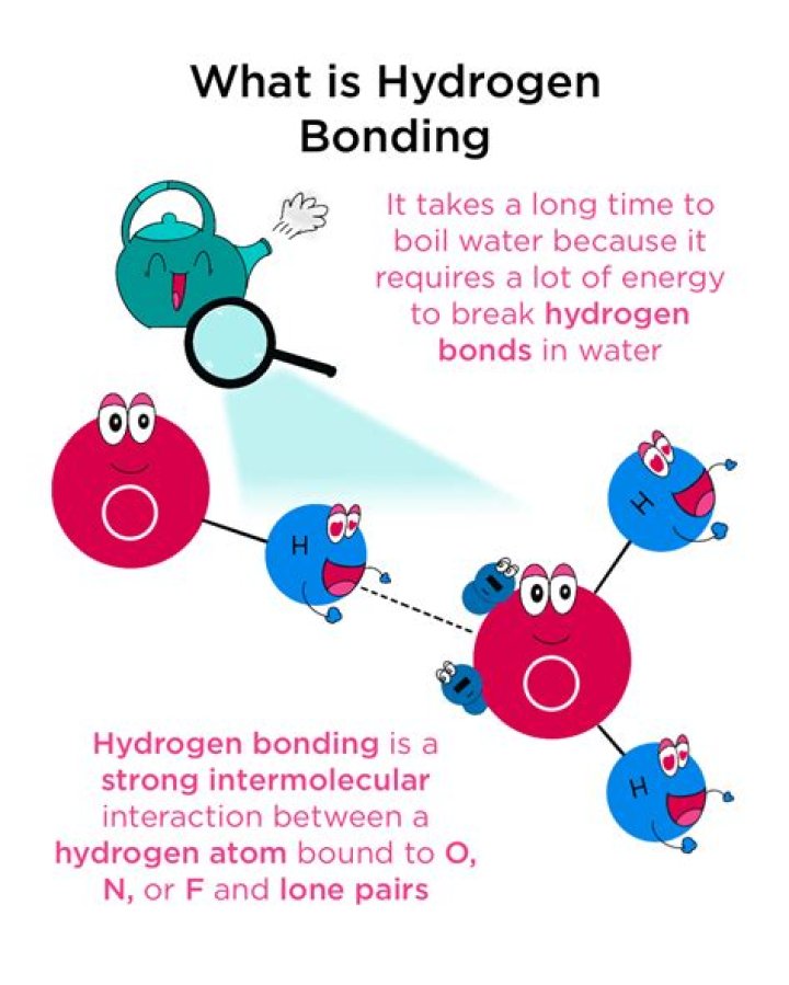 What is the nature of hydrogen bonds?