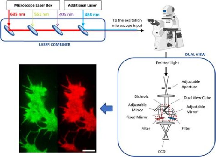 What is the resolution of TIRF microscopy?