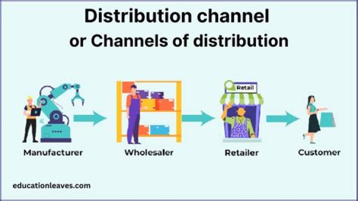What is the role of distribution of goods and marketing in the economy?
