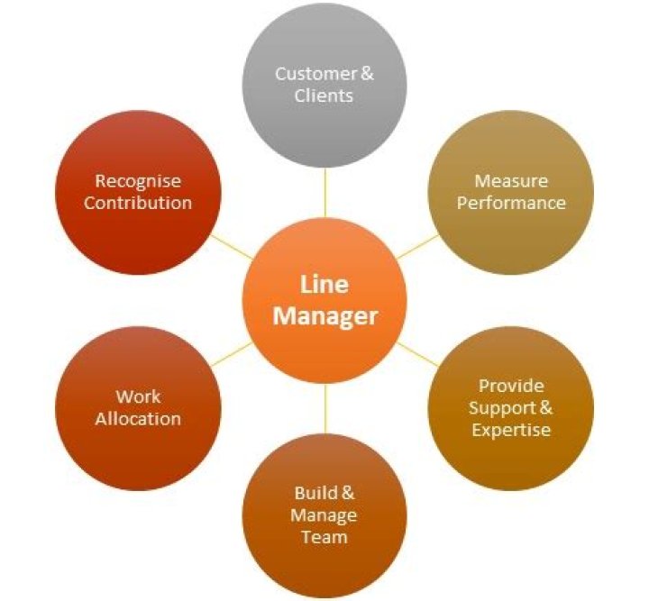 What is the role of line managers in performance management?