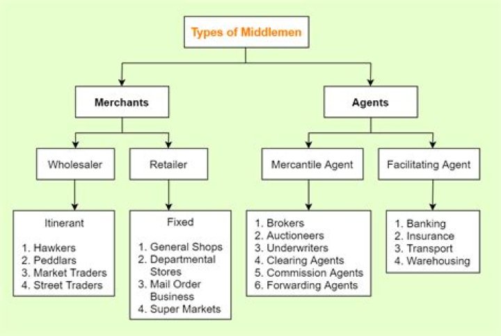 What is the role of middlemen in business?