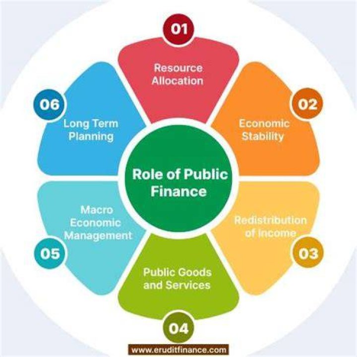 What is the role of public finance?