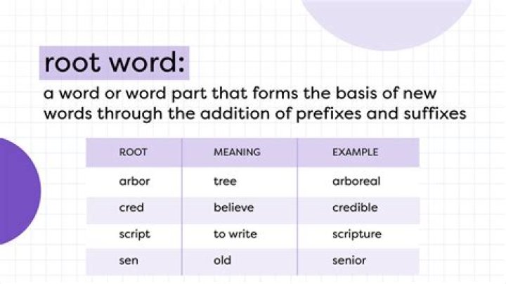 What is the root word of adhesive?