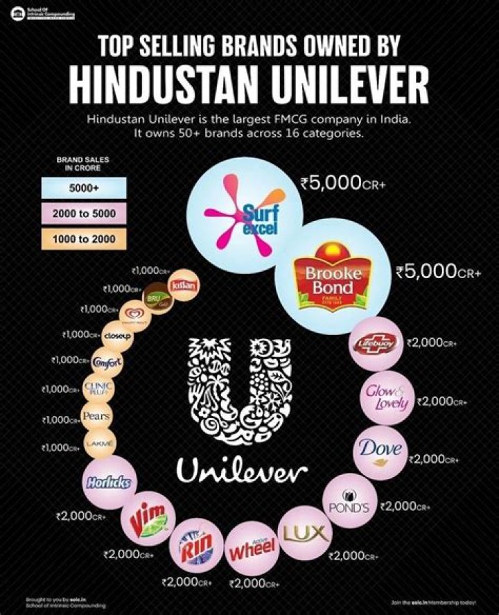 What is the strategy of Hindustan Unilever?