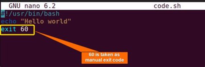 What is the system call number for the exit system call on Kali 64 bit Linux?