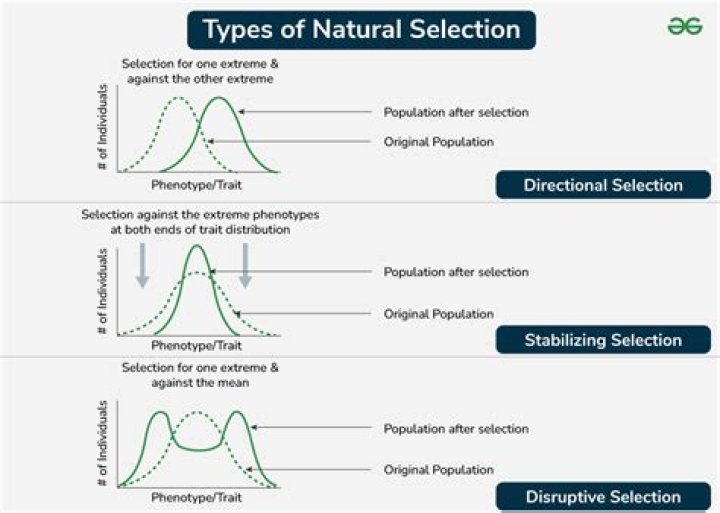 What is the type of selection that selects for an extreme of the population?